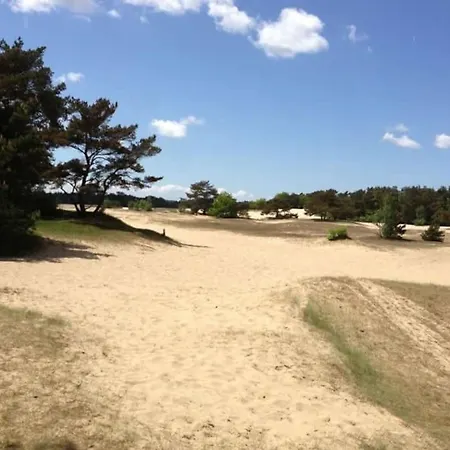 Prachtig Boschalet Met Cv, Airco En Sauna Op De Veluwe Σαλέ *