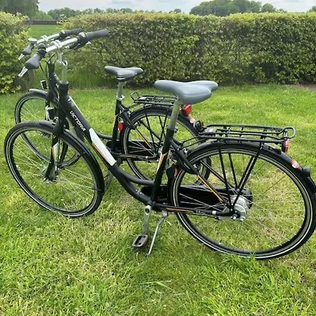 Prachtig Boschalet Met Cv, Airco En Sauna Op De Veluwe * Doornspijk