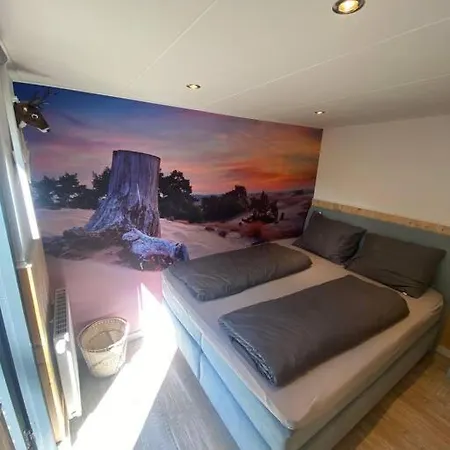 Prachtig Boschalet Met Cv, Airco En Sauna Op De Veluwe Doornspijk