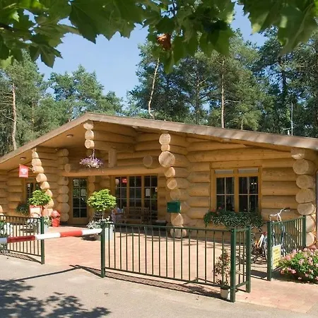 Prachtig Boschalet Met Cv, Airco En Sauna Op De Veluwe Chalet