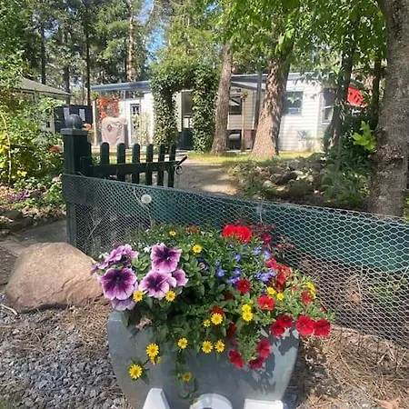 Prachtig Boschalet Met Cv, Airco En Sauna Op De Veluwe Doornspijk