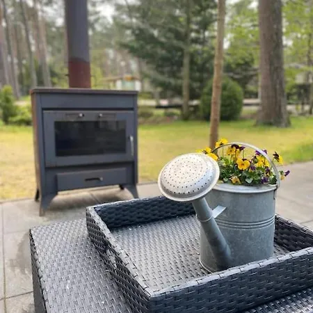 Prachtig Boschalet Met Cv, Airco En Sauna Op De Veluwe