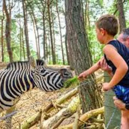 Σαλέ Prachtig Boschalet Met Cv, Airco En Sauna Op De Veluwe