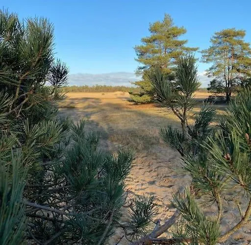 Prachtig Boschalet Met Cv, Airco En Sauna Op De Veluwe Chalet