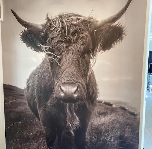 Alpstuga Prachtig Boschalet Met Cv, Airco En Sauna Op De Veluwe