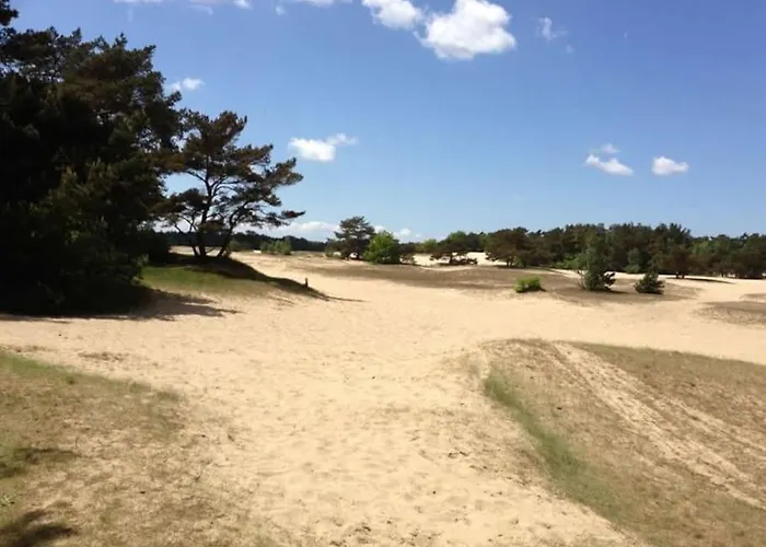 Prachtig Boschalet Met Cv, Airco En Sauna Op De Veluwe Alpstuga *