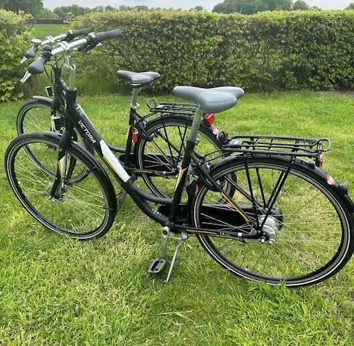 Prachtig Boschalet Met Cv, Airco En Sauna Op De Veluwe * Doornspijk