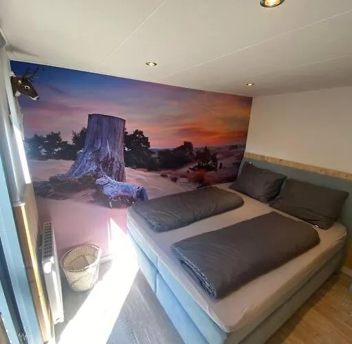 Prachtig Boschalet Met Cv, Airco En Sauna Op De Veluwe Doornspijk