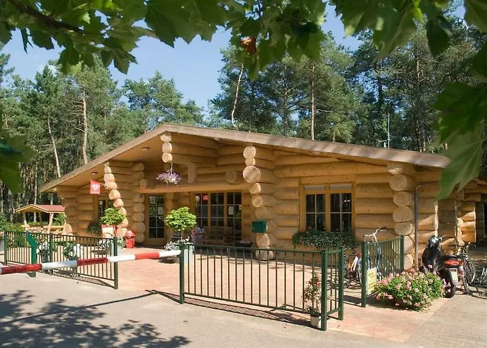 Prachtig Boschalet Met Cv, Airco En Sauna Op De Veluwe Chalet