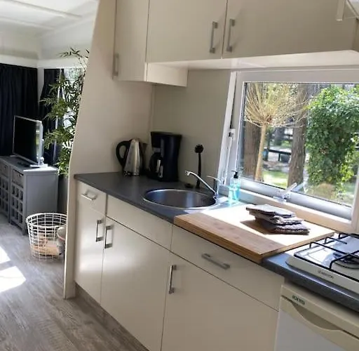 Prachtig Boschalet Met Cv, Airco En Sauna Op De Veluwe * Doornspijk