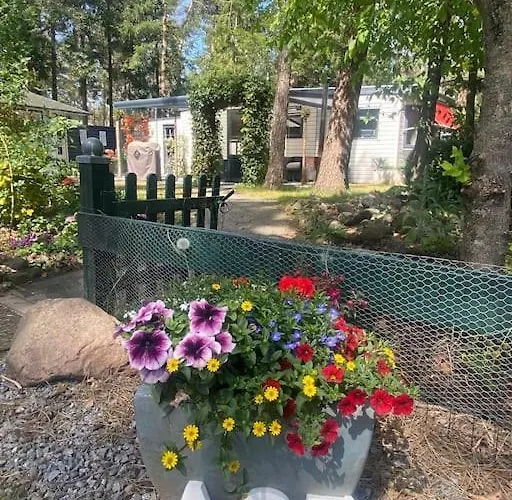 Prachtig Boschalet Met Cv, Airco En Sauna Op De Veluwe Doornspijk