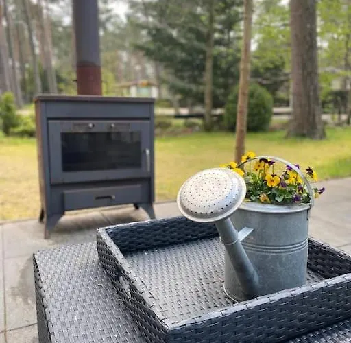 Prachtig Boschalet Met Cv, Airco En Sauna Op De Veluwe
