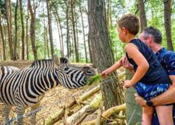 Alpstuga Prachtig Boschalet Met Cv, Airco En Sauna Op De Veluwe